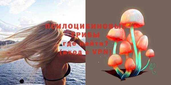 дживик Мегион