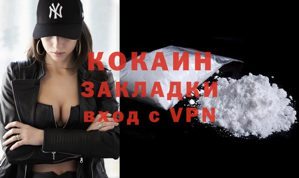 дживик Мегион