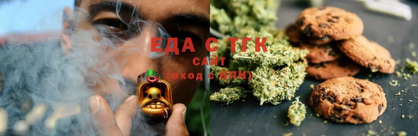 тгк Медногорск