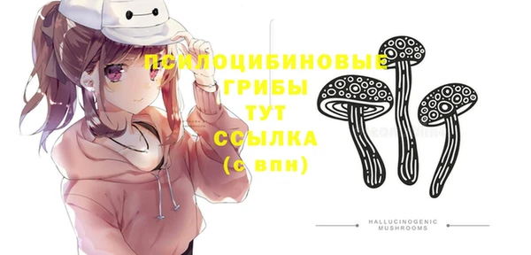 спайс Медвежьегорск