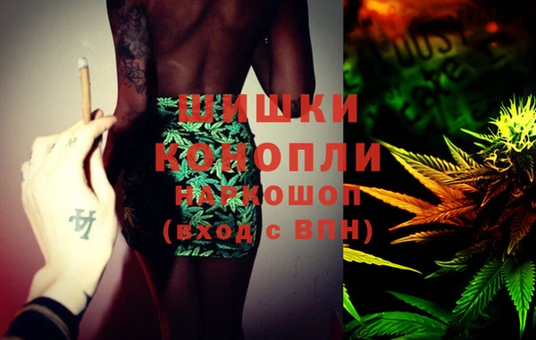 дживик Мегион