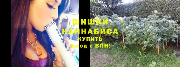 дживик Мегион