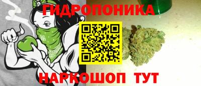 круглые Гусев
