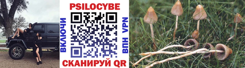 Галлюциногенные грибы GOLDEN TEACHER  Улан-Удэ 